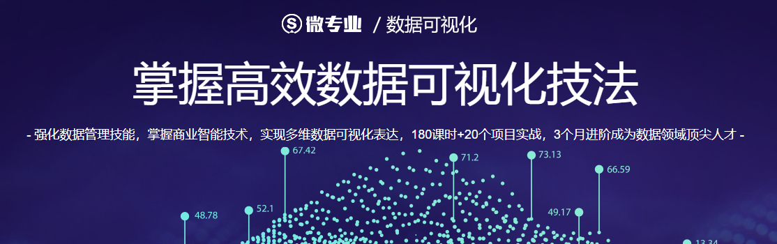 微专业—数据可视化掌握高效数据可视化技法 完结 - 干货网-干货网
