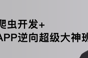 路飞-爬虫开发+APP逆向超级大神班1-7班|价值4999元|2022年|课件完整|无秘包更新 - 干货网-干货网