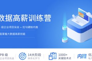 拉钩-大数据开发高薪训练营14期|2022年|重磅首发|完结无秘 - 干货网-干货网