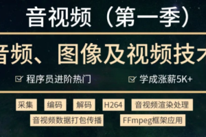 音视频开发技术学习视频教程(第一季)-2021进阶年课|完结无秘 - 干货网-干货网