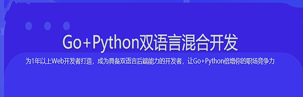 体系课-Go+Python打造电商系统 自研微服务框架 - 干货网-干货网