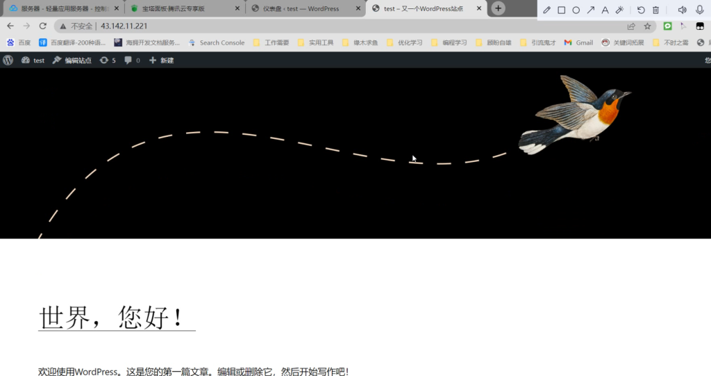 图片[10]-如何像我这样创建一个酷炫且能赚钱的网站（使用宝塔安装WordPress搭建子比主题）