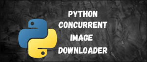 Python 并发图像下载器