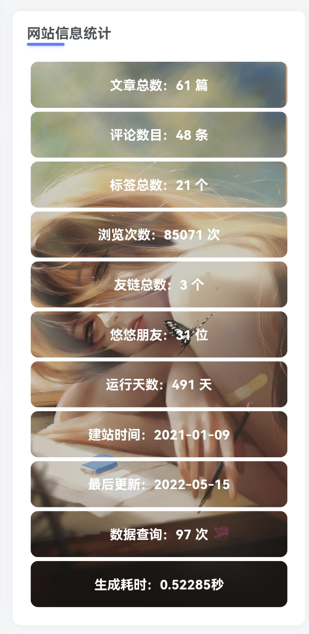 wordpress给网站侧边栏添加一个网站信息统计工具