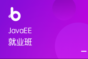 博学谷-JavaEE在线就业班2022年+中级进修课+精英进阶|重磅首发|完结无秘 - 干货网-干货网