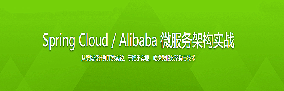 Spring Cloud / Alibaba 微服务架构实战 - 干货网-干货网