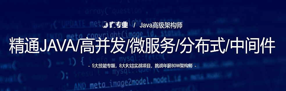 微专业-精通JAVA/高并发/微服务/分布式/中间件 - 干货网-干货网