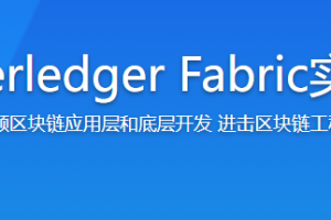学习Hyperledger Fabric实战联盟链-企业端区块链原理精讲 - 干货网-干货网
