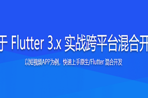 基于 Flutter 3.x 实战跨平台混合开发 - 干货网-干货网