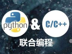 Python & C/C++联合编程实战视频课程【价值268元】 - 干货网-干货网