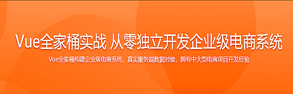 Vue全家桶实战 从零独立开发企业级电商系统(免费升级Vue3.0) - 干货网-干货网