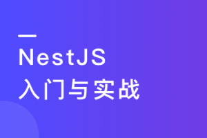 NestJS 入门到实战 前端必学服务端新趋势无密 - 干货网-干货网