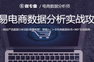 微专业-电商数据分析师【价值1800元】 - 干货网-干货网