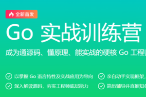 极客-Go实战训练营0期|2022年|重磅首发|包更新|无秘13周 - 干货网-干货网