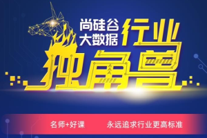 尚硅谷大数据项目实战提升大神班|2021|完结无秘 - 干货网-干货网
