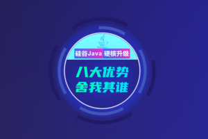 尚硅谷-Java后端+Java大数据+前端 |2021年|完结无秘 - 干货网-干货网