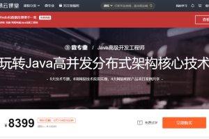 微专业-Java高级开发工程师|课件齐全【价值8399元】|2021年 - 干货网-干货网