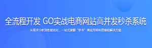 全流程开发 GO实战电商网站高并发秒杀系统-干货网