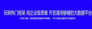 玩转热门框架 用企业级思维 开发通用够硬的大数据平台-干货网