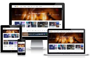 ripro9.0修正升级版+WP两款美化包+稀有插件-干货网