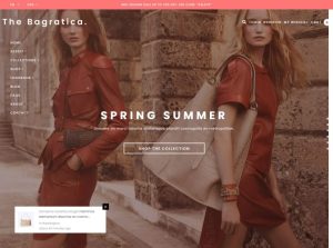 巴格拉蒂卡 – 购物商城主题，【带后台操作文档及用户指南】-干货网