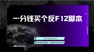 一分钱买个反F12脚本-干货网