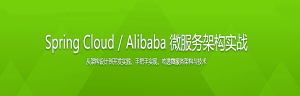Spring Cloud / Alibaba 微服务架构实战-干货网