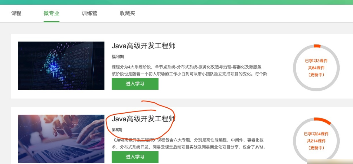 图片[1]-微专业-Java高级开发工程师|课件齐全【价值8399元】|2021年 - 干货网-干货网