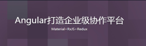 Angular打造企业级协作平台-干货网