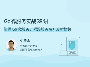 Go 微服务实战 38 讲-干货网