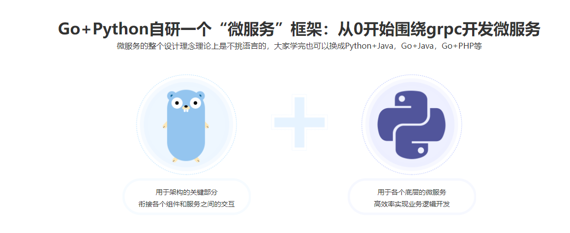 图片[3]-体系课-Go+Python打造电商系统 自研微服务框架 - 干货网-干货网