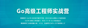 Go高级工程师实战营 - 干货网-干货网