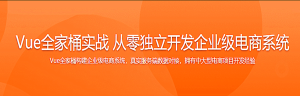 Vue全家桶实战 从零独立开发企业级电商系统(免费升级Vue3.0)-干货网