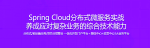 Spring Cloud分布式微服务实战，养成应对复杂业务的综合技术能力-干货网