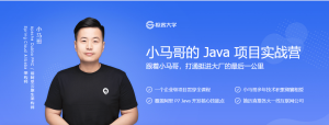 极客-小马哥的 Java 项目实战营-干货网