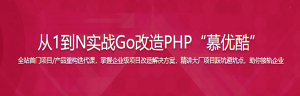 仿阿里系优酷网-企业级Go改造PHP项目踩坑避坑指北【完结】-干货网