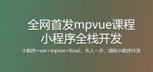 全网首发mpvue课程小程序全栈开发-干货网