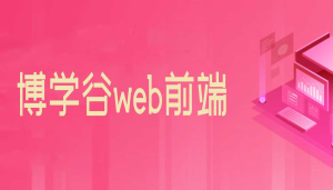 博学谷web前端-干货网