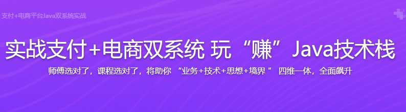 Java通用型支付+电商平台双系统实战 - 干货网-干货网