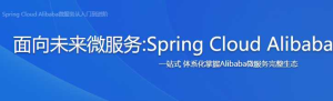Spring Cloud Alibaba微服务从入门到进阶-干货网