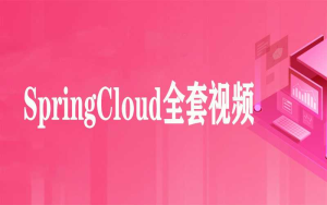 SpringCloud全套视频（57集）-干货网