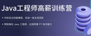 Java工程师高薪训练营【完结】-干货网