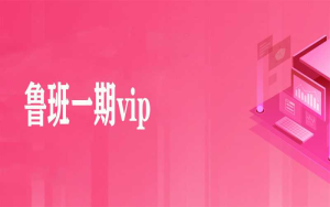 鲁班一期vip-干货网
