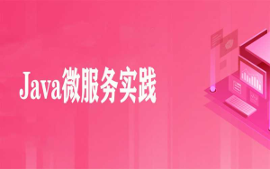 Java微服务实践 - Spring Boot系列-小码哥-干货网