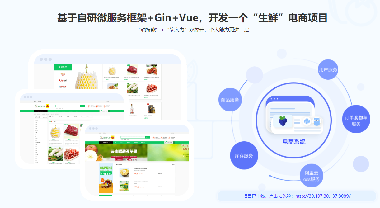 图片[2]-体系课-Go+Python打造电商系统 自研微服务框架 - 干货网-干货网