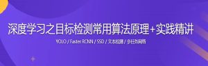 深度学习之目标检测常用算法原理+实践精讲-干货网