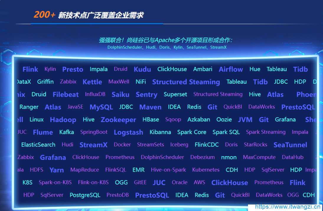 图片[3]-尚硅谷大数据大神班V9|2022年9月完结|重磅首发|完结无秘 - 干货网-干货网