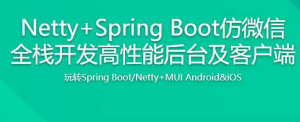 NettySpringboot仿微信聊天全栈实战 从0开发到上线部署-干货网