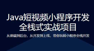 Spring Boot短视频小程序开发 全栈式实战-干货网