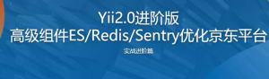 Yii2.0进阶版 高级组件ES-Redis-Sentry优化京东平台-干货网